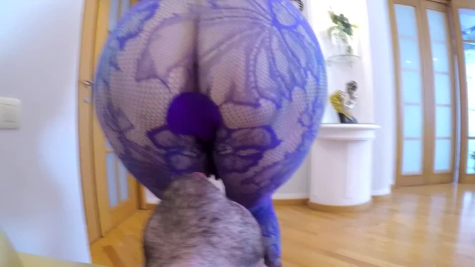 xxx video 35 Amateur | cumshot | amateur porn dog's anal sacs
