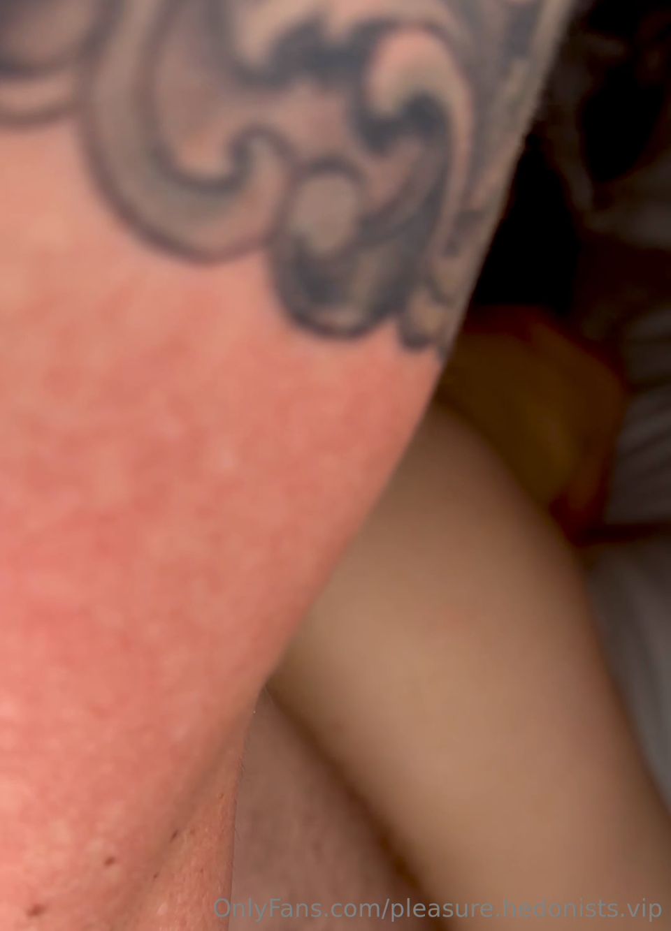 pleasure.hedonists.vip_pleasure.hedonists.vip-2025-09-25-4041902238 