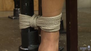 Sophia Fiore - Objetivizando a Sophia - BDSM