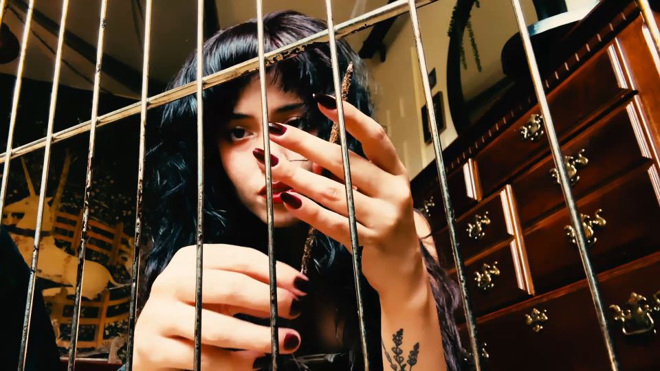 EnchantrixV - Encantador de una mascota - FullHD 1080P