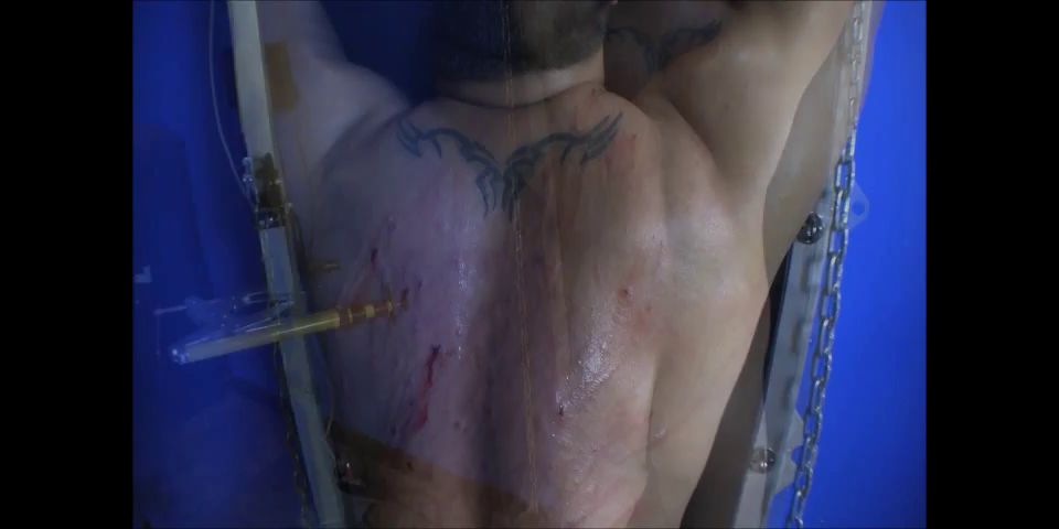 Cybill Troy entró en forma por Cybill Troy