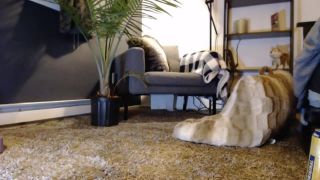 xxx video 36 Mattiedoll - lvl80waifu / Onlyfans Lvlwaifu - mi primera transmisión por favor tip si te gustó me animará a mantener en ella lo haré 23-11-2019 - Muñeca - hardcore - porno hardcore media porno