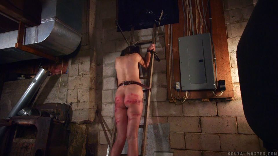 xxx video 1 Perro - Perro agachado Perra Oculta - Nuevo BDSM VIP Porno en bdsm porno bdsm piercing porno