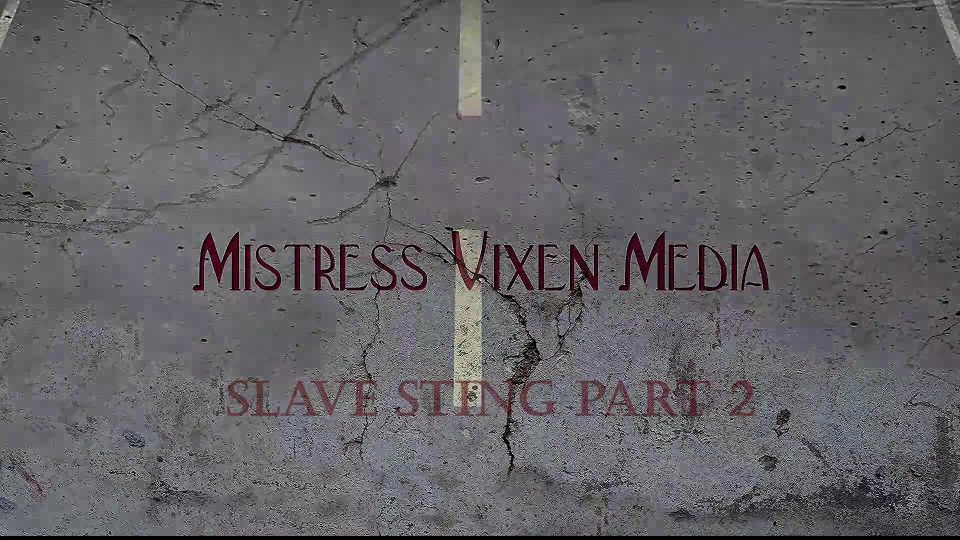 online porn video 37 Mistress Vixen – Slave Sting Part 2 | k2s femdom | bdsm porn bdsm fetish