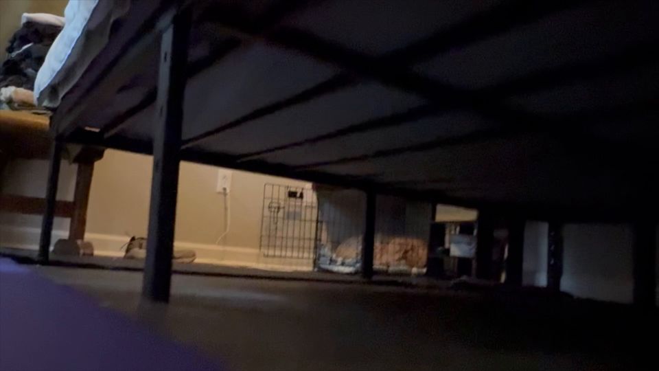 Negro porno Negro porno Bbybimbogamer - Tetona Gigante Juguetes Con Pequeño Invitado No Invitado - Juegos