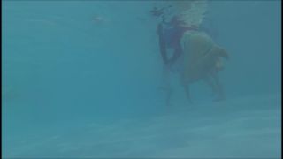 Voyeur Underwater swimsuit tracking – YMUW | voyeur | voyeur
