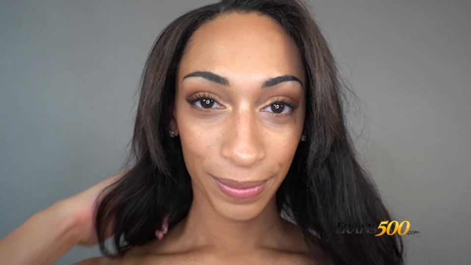 online video 41  - trans500 - shemale porn