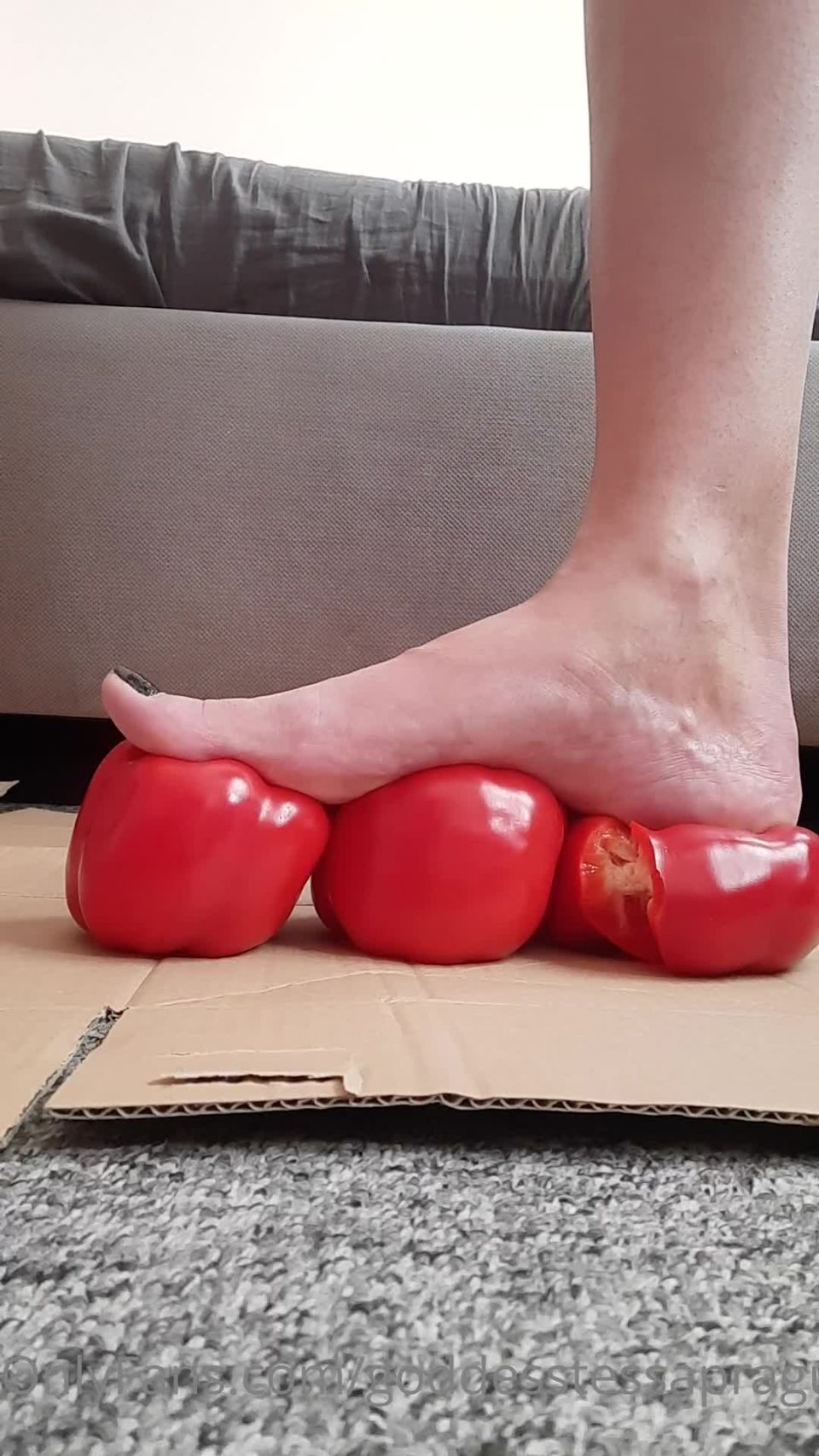 adult clip 39 bra fetish femdom porn | Onlyfans: Goddess Tessa - 45 Size Feet Goddess - Destroying 3 Peppers With 1 Step And Smashing It Completly | femdom