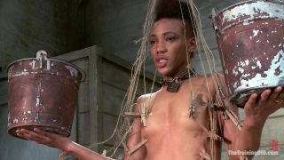 online video 4 The Training of Nikki Darling, Day Four, diaper femdom on anal porn 