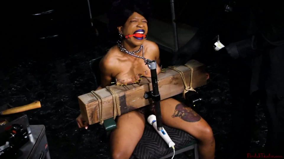 BM Cupcake SinClair - Sangrado en el Año Nuevo (01.03.19....