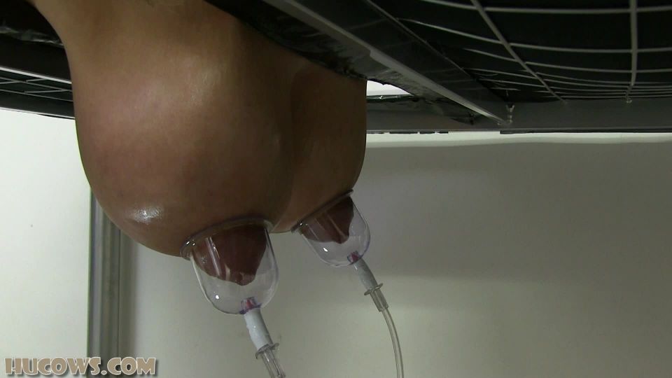 gratis video porno 8 Hucows – Katie – pezones más largos, fetichista buscador en fetiche porno