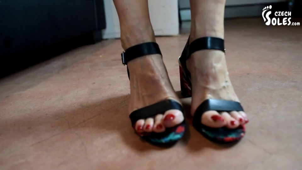 Sexy Mature Bare Feet Of Goddess Mitzi (POV Foot Worship, Sexy Feet, Cz