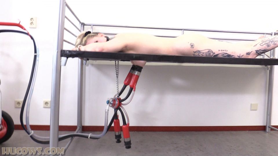 clip 12 Hucows – Elizabeth More – Cow Milker | elizabeth more | femdom porn jockstrap fetish
