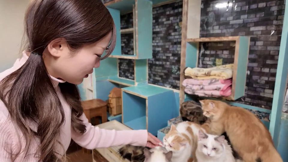 FC2PPV 4511406 A cat cafe date where she was fascinated by the cat cute.