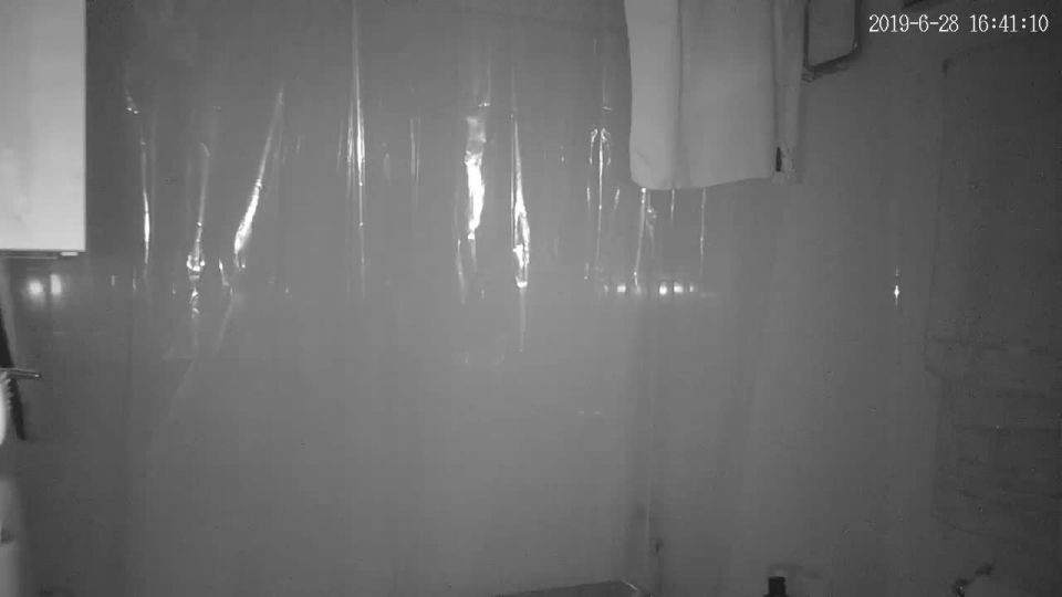 hz_24176 Webcam