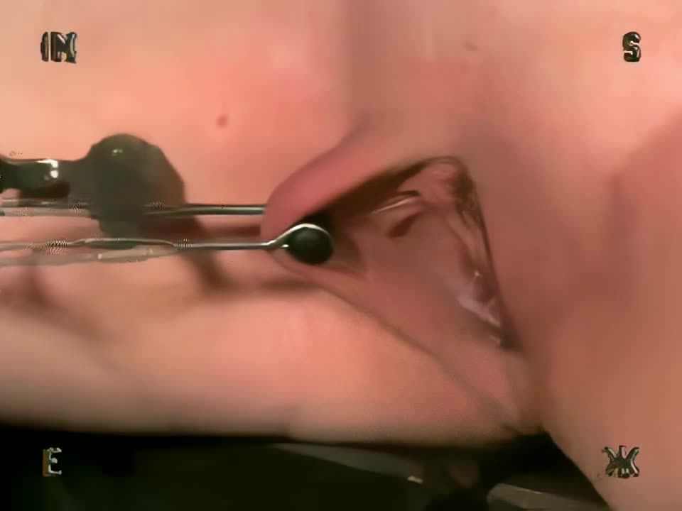 20020821 - Entrenamiento de los Lechones (1203's Training) Sexo Onlin...