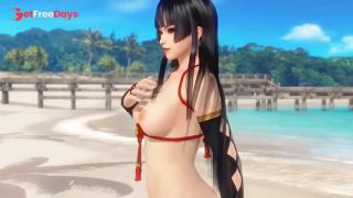 Dead or Alive Xtreme Venus Vacation Nyotengu Graphite Bodysuit Nude Mod Fanservice Appreciation