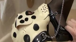 Perro humano de UKMisstres