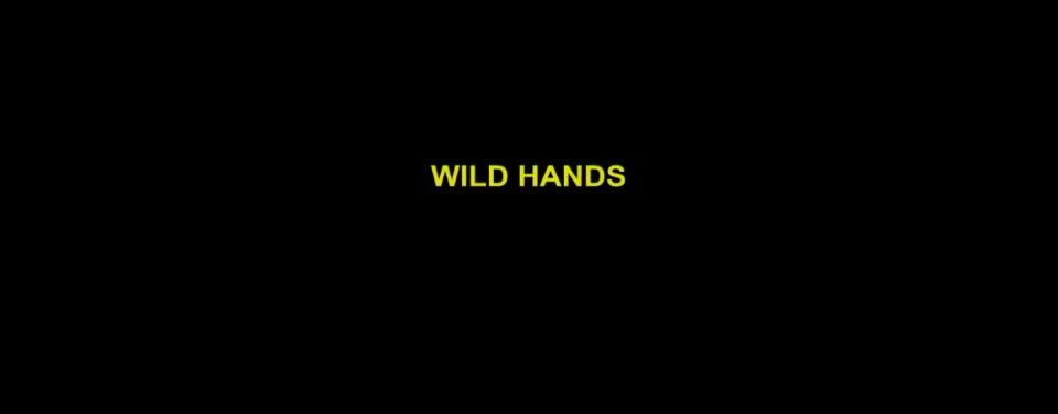 online video 42 Lisa Wild Hands, hard group bdsm on bdsm porn 