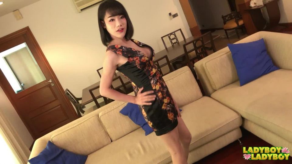 free adult video 19 Fascinating Bee Is Back! - Ladyboy, Japanese on shemale porn femdom orgasm