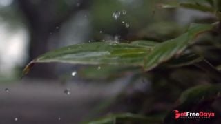 [GetFreeDays.com] Sexy Bare Feet in Tropic Rain Porn Video June 2023