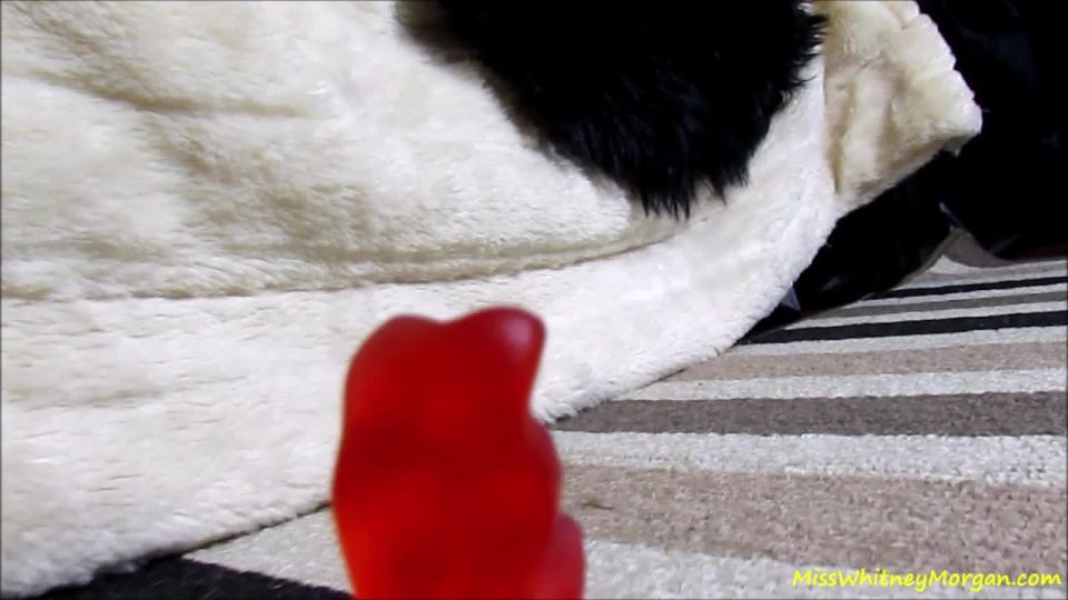 online clip 11 Whitney Gummy Virus Mutation Vore on fetish porn feet foot fetish