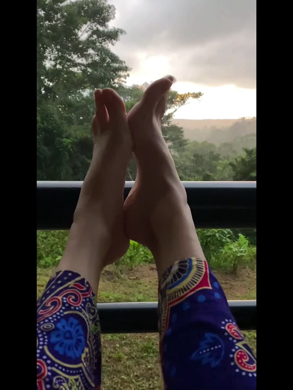 Wiggle Feet in Rainforest webcam QueenMotherSoles