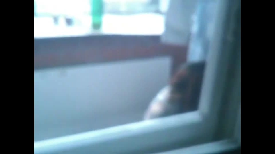 Two teens caught having sex on balcony