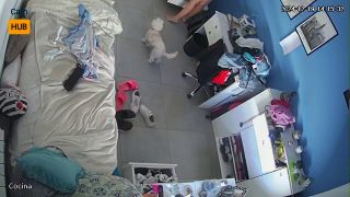 Webcam 955 Argentina Córdoba ADxZA0Tnu