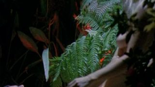 Sex Files: Alien Erotica (1998)!!!