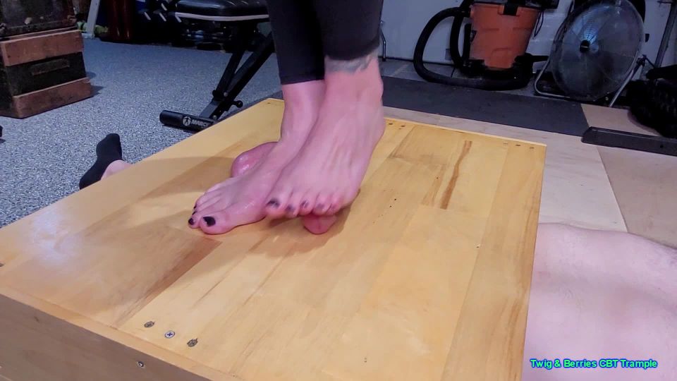 online xxx clip 2 Twig And Berries CBT Trample - My Personal Trampoline - footworship - feet porn nylon fetish