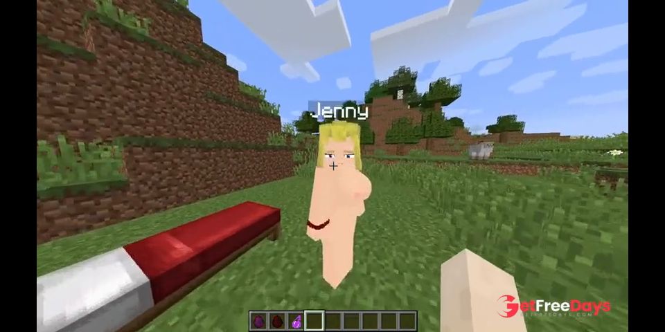 [GetFreeDays.com] Minecraft Blonde Jenny hentai game xhatihentai Adult Film November 2022