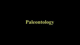 Charlotte Heinimann - Paleontology (2015) HD 1080p!!!