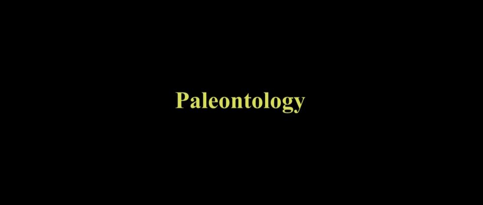 Charlotte Heinimann - Paleontology (2015) HD 1080p!!!