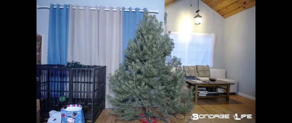 free video 17 humiliation fetish bdsm porn | BondageLife – Christmas With Greyhound | bondage