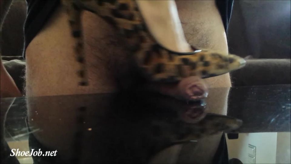 Teasing Cock With Leopard Heels – Shoejob Desires foot 