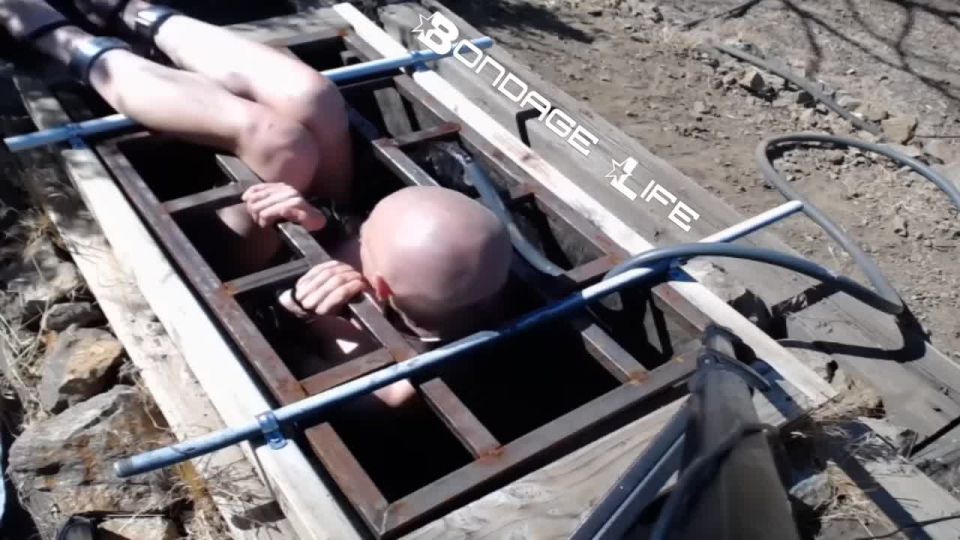 Greyhound consigue la caja - 08.26.19 Video Sexo Descargar porno