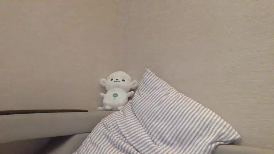 Webcams transexuales Video para el 24 de octubre de 2019 – 05 webcam