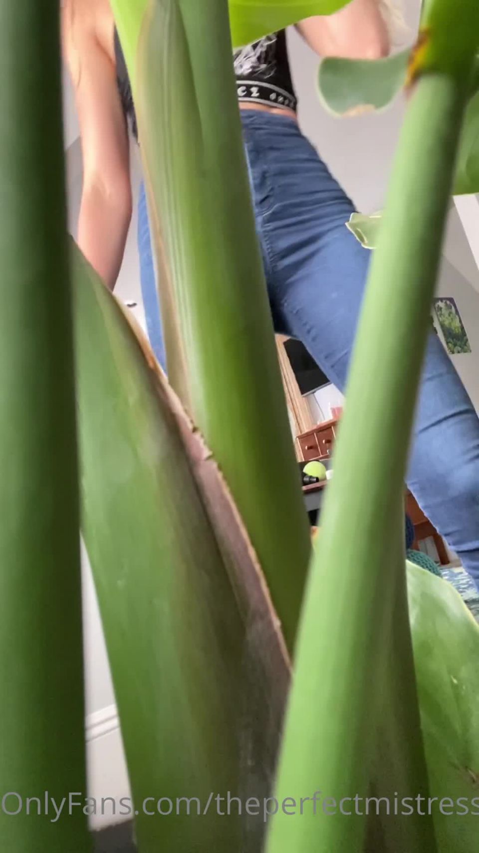 ThePerfectMistress Theperfectmistress - full giantess vore video i find you hiding in my plants i take you out place you on th 06-06-2020