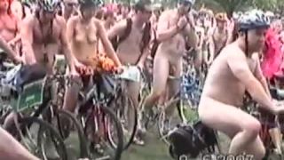 Coccozella-SiteRIP 0114-lg-wnbr-2007-3