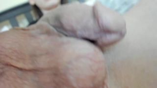 Video de cámaras web transexuales para septiembre 05, 2018 – 26 webcam