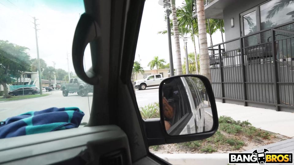 Facial - Bang Bus - Selena Ivy - Brunette
