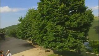 Historia de Don Raffael, escena 2