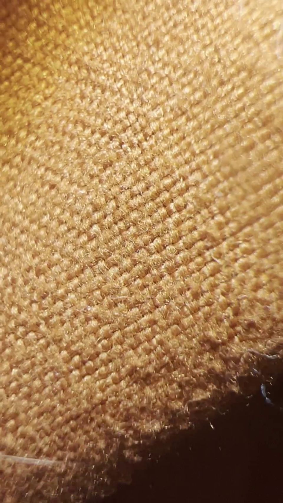 [MuchosVids] Longhairluna Manyvids.22.12.11.Longhairluna.Audio.Solamente.Sexo.Audio