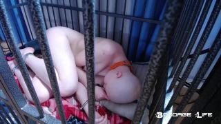 adult clip 34 Bondage Life – Nap With Greyhound, femdom ballbusting on femdom porn 