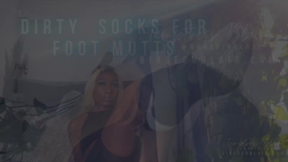 free video 17 Temptress Blair – Dirty Socks for Foot Mutts on pov femdom bdsm