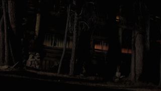 Maria-Elena Laas, Diana Toshiko, Emily Ray, Nika King - American Weapon (2014) HD 1080p - (Celebrity porn)