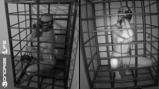 gratis video en línea 40 piel diamante femdom Bondage Vida – Más tiempo de almacenamiento para Greyhound, vida de esclavitud en femdom porno