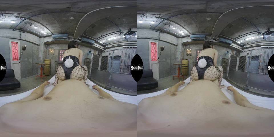 FSVR-005 C.4K(Virtual Reality)