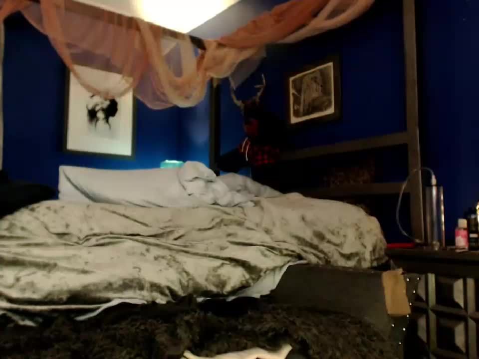 Webcams transexuales Video para el 24 de noviembre de 2019 – 29 webcam